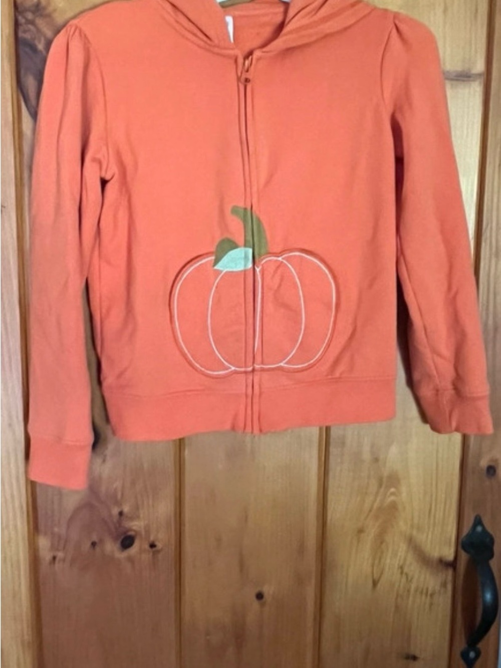 Gymboree Orange Pumpkin Zip Hoodie